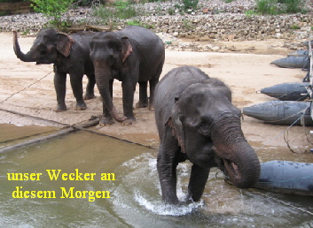 Urlaub-2011-Thailand-112