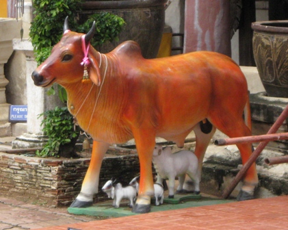 Urlaub-2011-Thailand-203