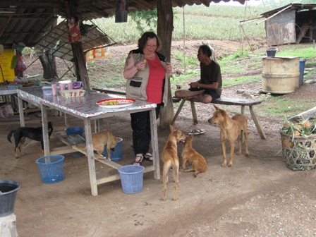 Urlaub-2011-Thailand-229