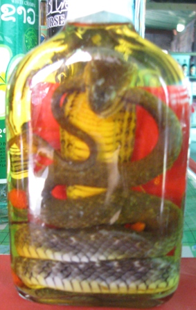 Urlaub-2011-Thailand-263