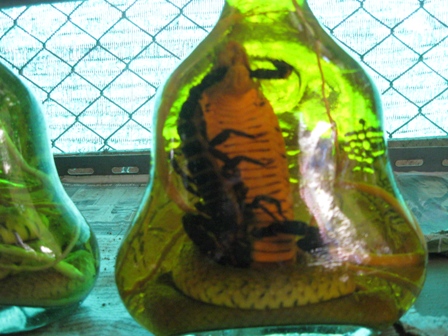 Urlaub-2011-Thailand-264