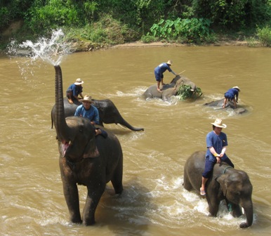 Urlaub-2011-Thailand-309