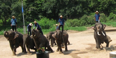 Urlaub-2011-Thailand-311