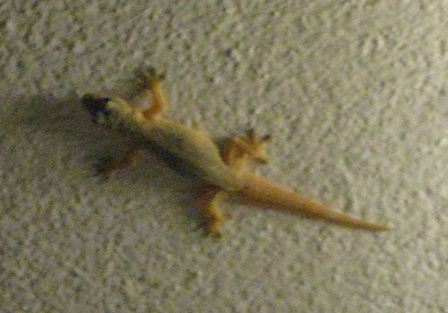 Urlaub-2011-Thailand-417