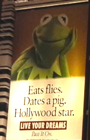 urlaub-2004-eastcoast-florida-004