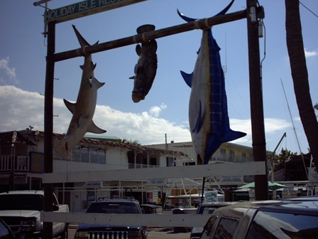 urlaub-2004-eastcoast-florida-040