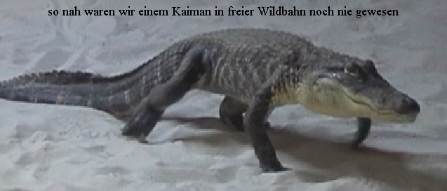 urlaub-2004-eastcoast-florida-047