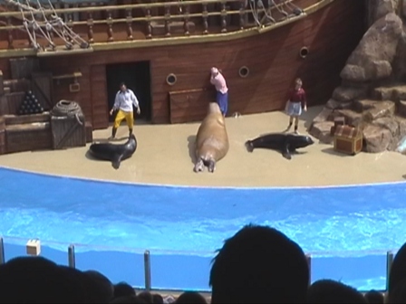 urlaub-2004-eastcoast-florida-054