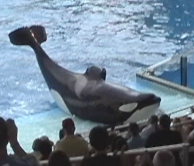 urlaub-2004-eastcoast-florida-055