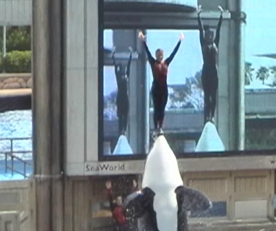 urlaub-2004-eastcoast-florida-056