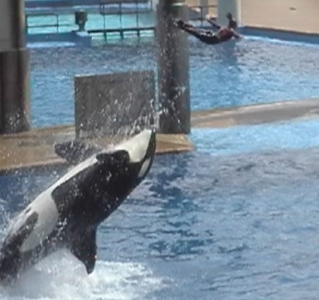 urlaub-2004-eastcoast-florida-057