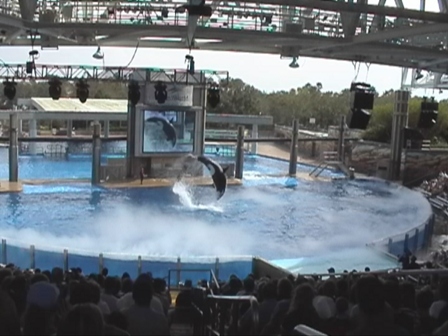 urlaub-2004-eastcoast-florida-058