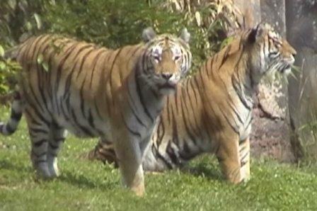 urlaub-2004-eastcoast-florida-060