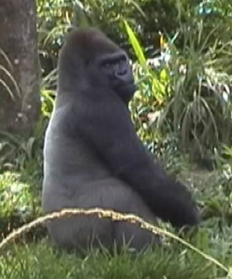 urlaub-2004-eastcoast-florida-061