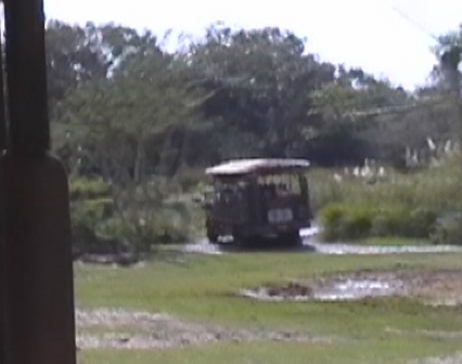 urlaub-2004-eastcoast-florida-062