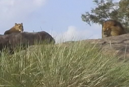 urlaub-2004-eastcoast-florida-064