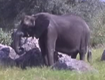 urlaub-2004-eastcoast-florida-065