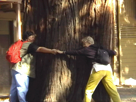 urlaub-2003-usa-westcoast-070