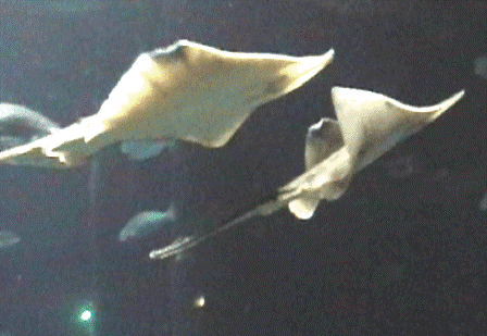 urlaub-2003-usa-westcoast-093