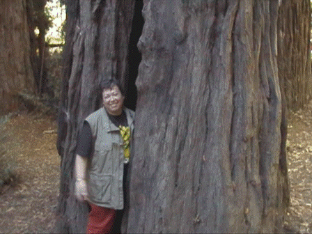 urlaub-2003-usa-westcoast-095